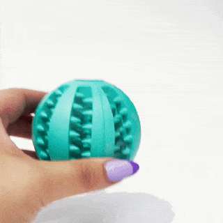 Balle à Friandises pour Chien - SnackBall