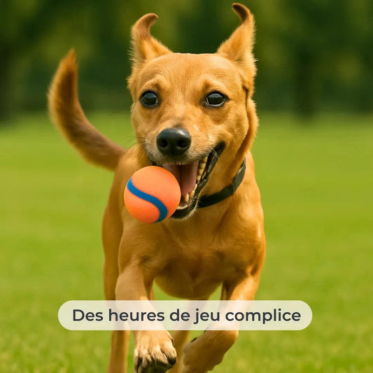 Balle en caoutchouc résistante avec couineur - chien moyen
