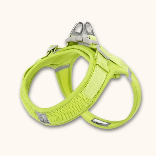 Harnais petit chien en T – chiot dès 2 mois et petites races Jaune / XXS