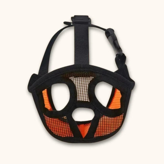 Muselière bouledogue français – Spéciale museau court