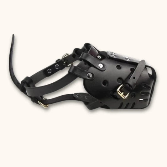 Muselière en cuir pour chien – Qualité premium