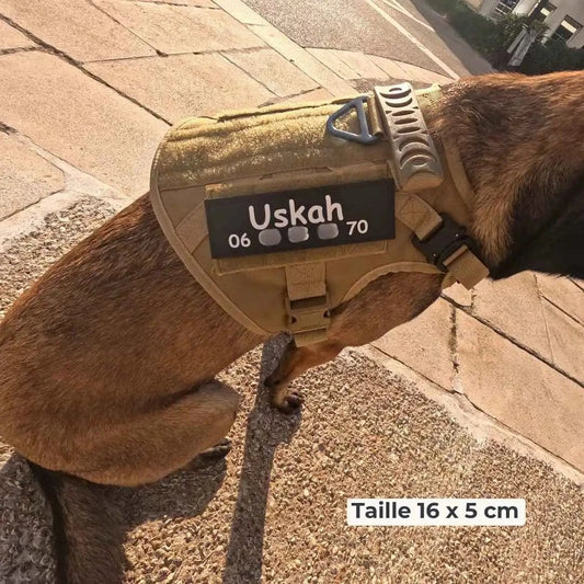 Patch personnalisé chien – Nom, téléphone ou info utile
