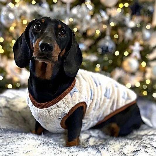 Pull Rigolo "Étoiles" pour Petit Chien