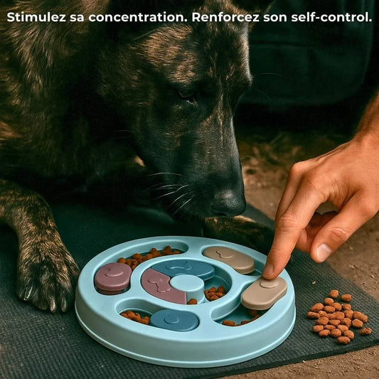 Puzzle Chien - PuzzleTwister : Stimulation Mentale