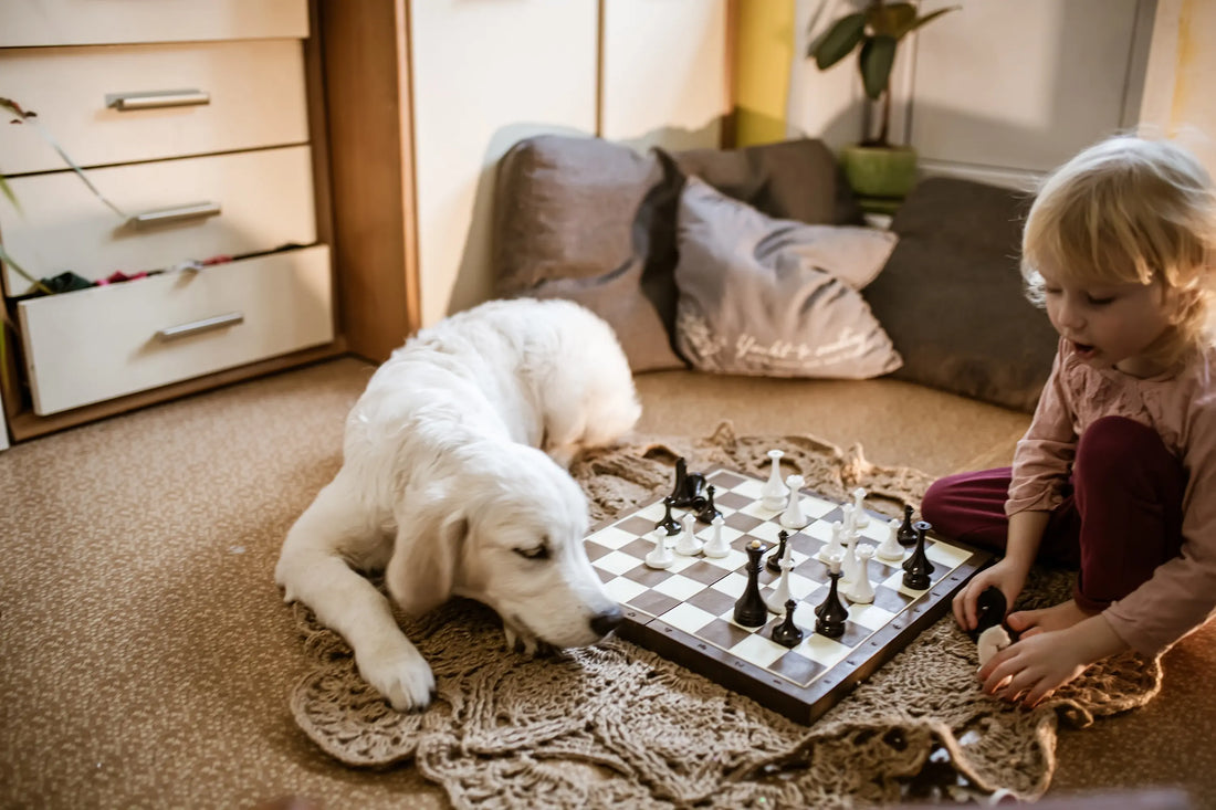 Un enfant joue aux échecs sur un tapis avec un chien blanc couché à côté dans un salon cosy