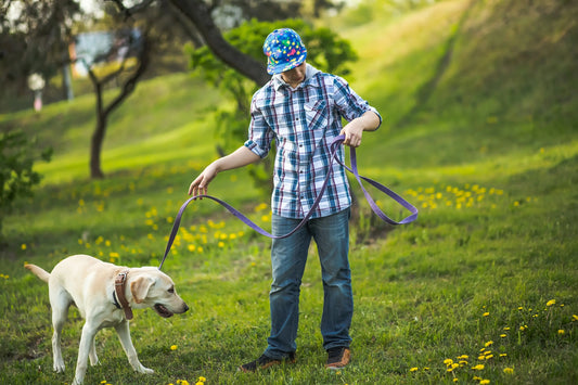 Garçon avec casquette colorée marchant un labrador beige en laisse violette dans un parc fleuri