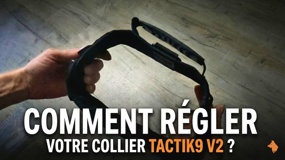 Comment régler le collier TactiK9 v2 ?