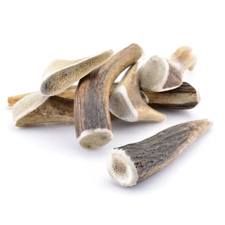 Friandises naturelles chien