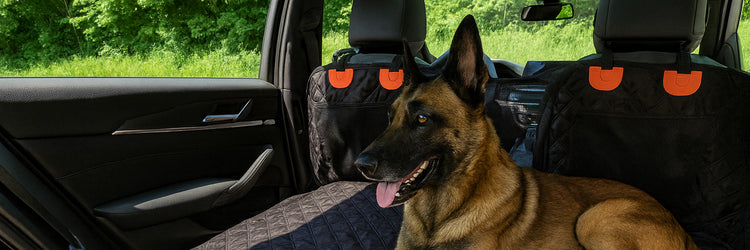 Malinois couché sur la housse GuardShield installée sur la banquette arrière — collection Protection voiture pour chien K9 Unit