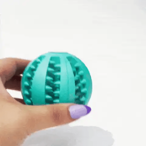 Balle à Friandises pour Chien​ - SnackBall