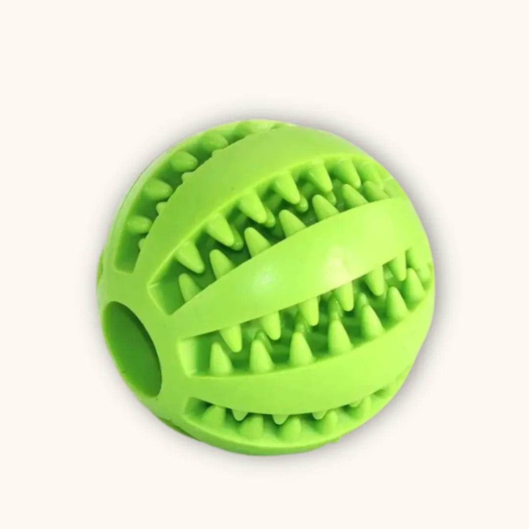 Balle à Friandises pour Chien​ - SnackBall Vert / S