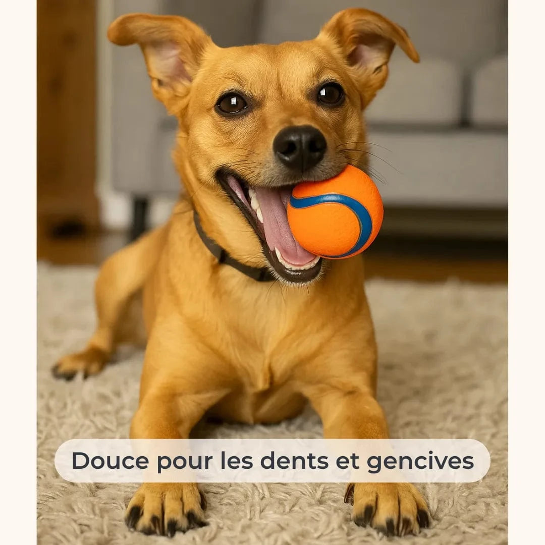 Balle en caoutchouc résistante avec couineur - chien moyen