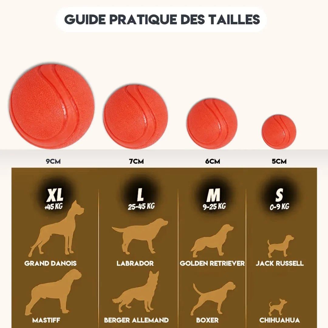 Balle Rebondissante Chien - JumpyBall : Durable & Fun ! S