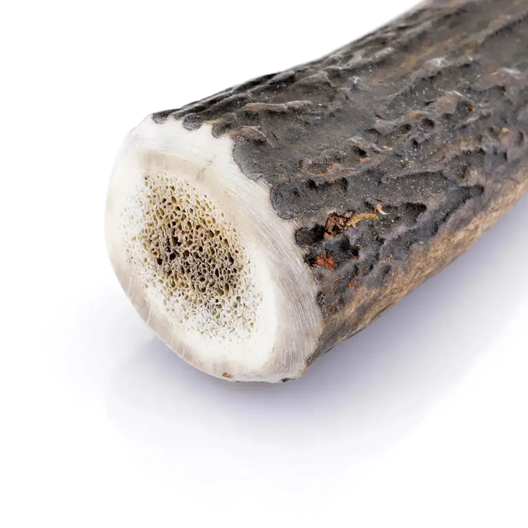 Bois de cerf pour chien : Mastication saine et durable