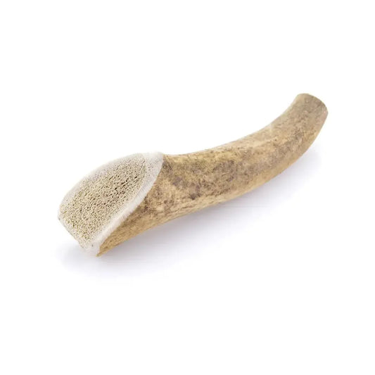 Bois de cerf pour chien : Mastication saine et durable