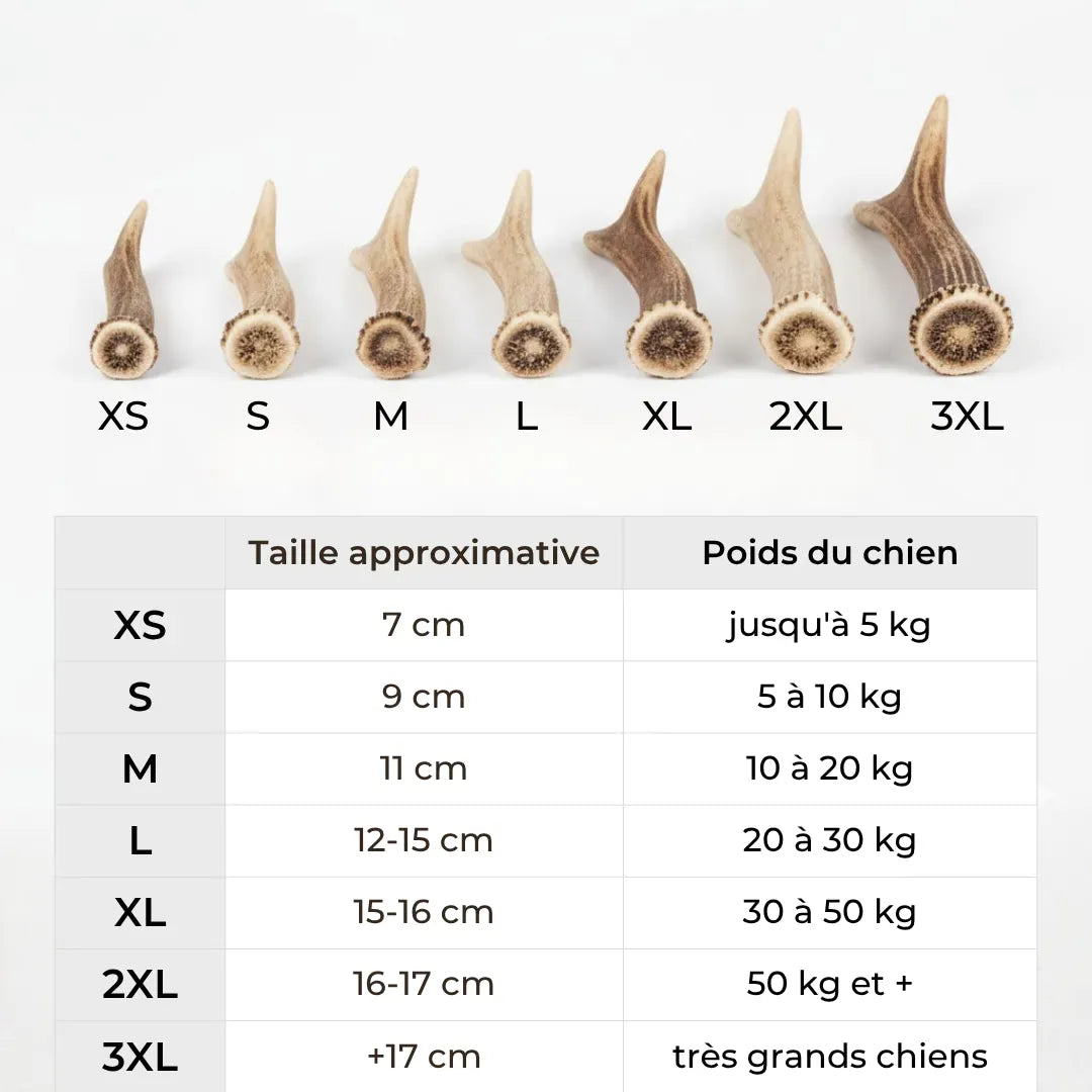 Bois de cerf pour chien : Mastication saine et durable