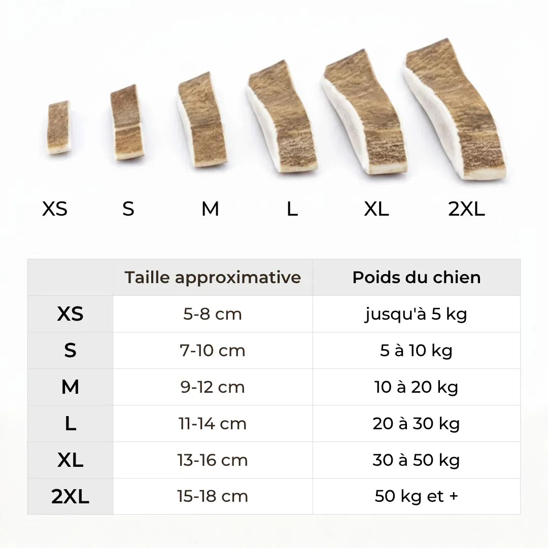 Bois de daim chien et chiot : Mastication douce et naturelle