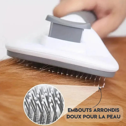 Brosse Chien à Poils Longs - Soin Rapide et Efficace