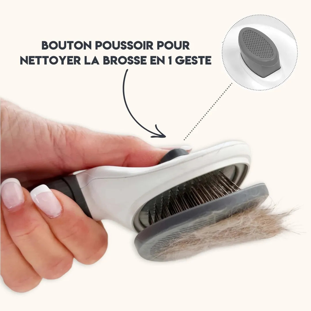 Brosse Chien à Poils Longs - Soin Rapide et Efficace