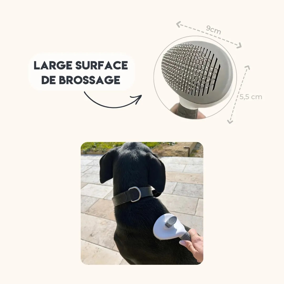 Brosse Chien à Poils Longs - Soin Rapide et Efficace