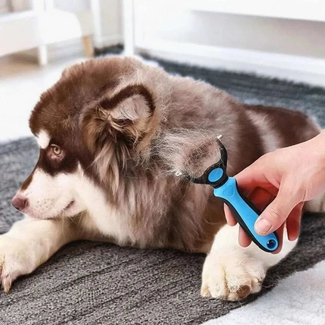 Brosse étrille pour chien – Démêlage efficace