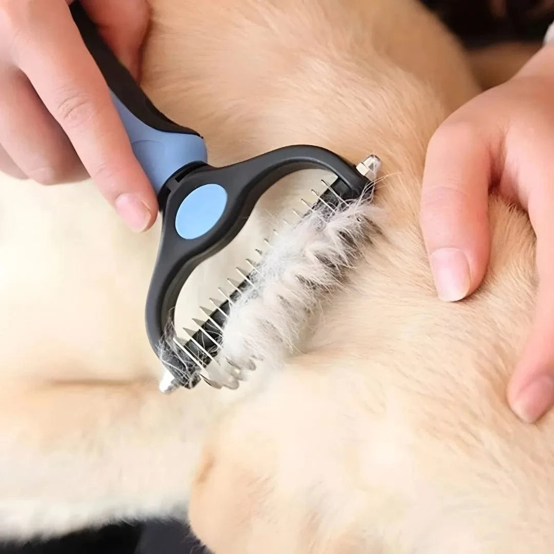 Brosse étrille pour chien – Démêlage efficace sans douleur