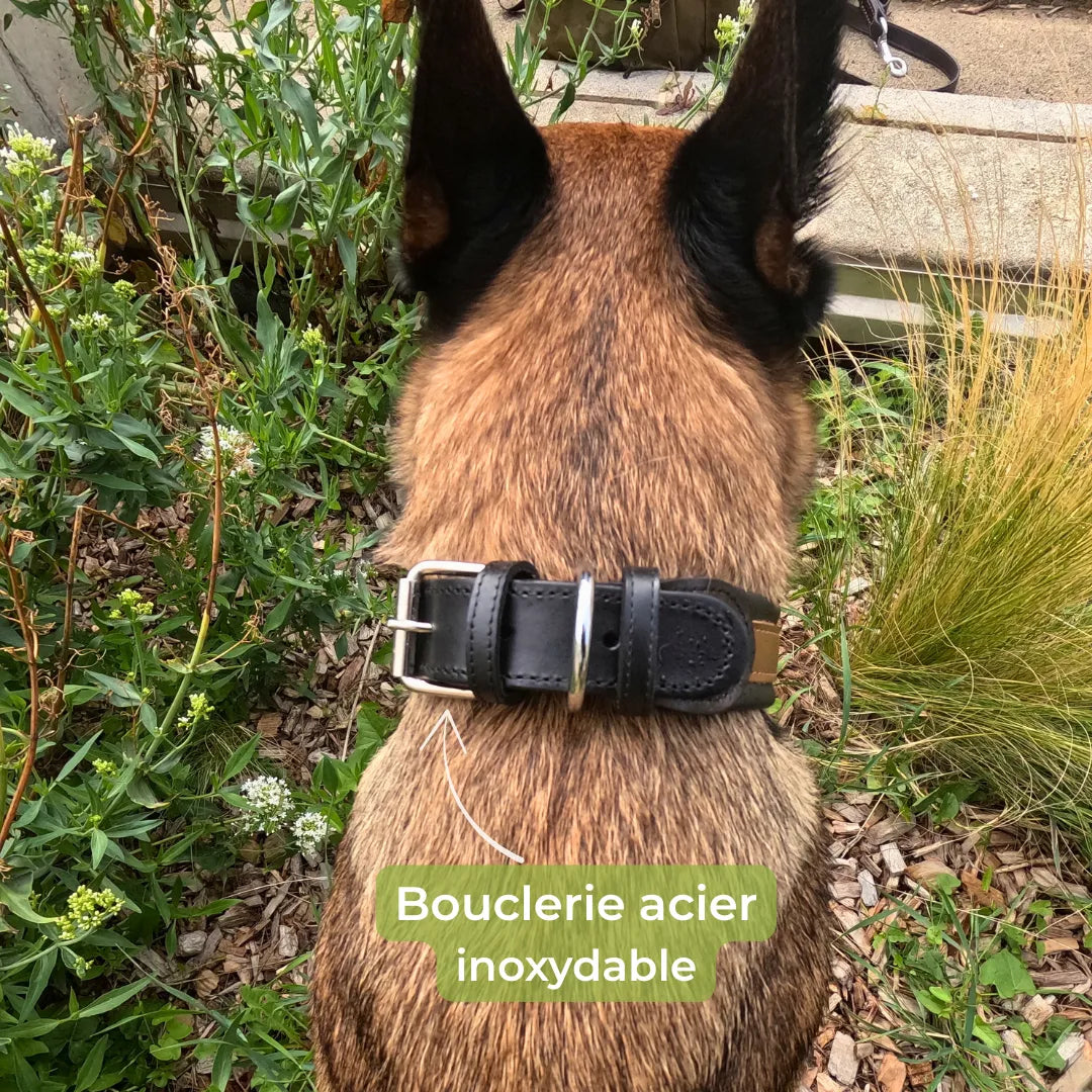 Collier cuir chien personnalisé | Guardian K9, gravure laser