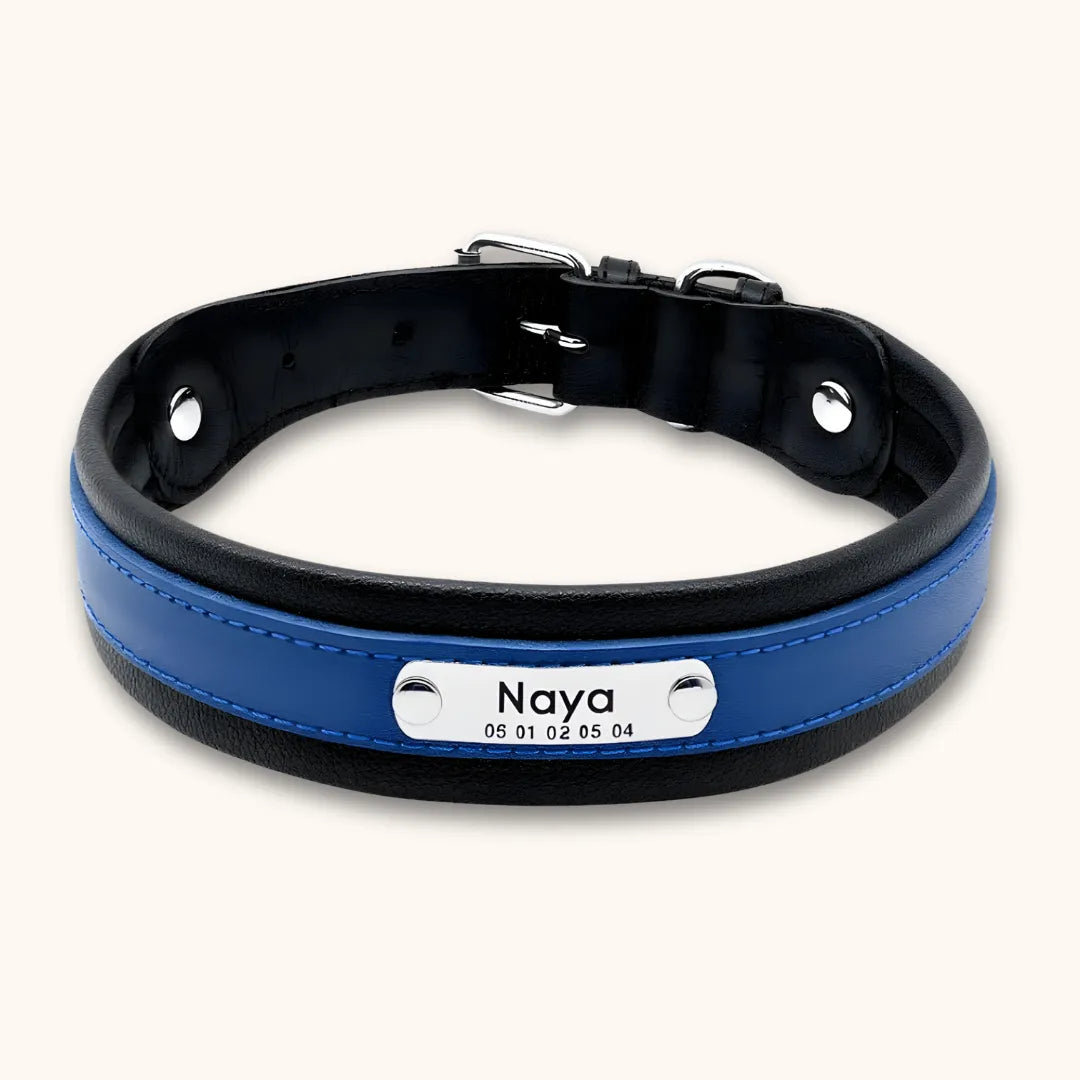 Collier cuir chien personnalisé | Guardian K9, gravure laser Bleu / M