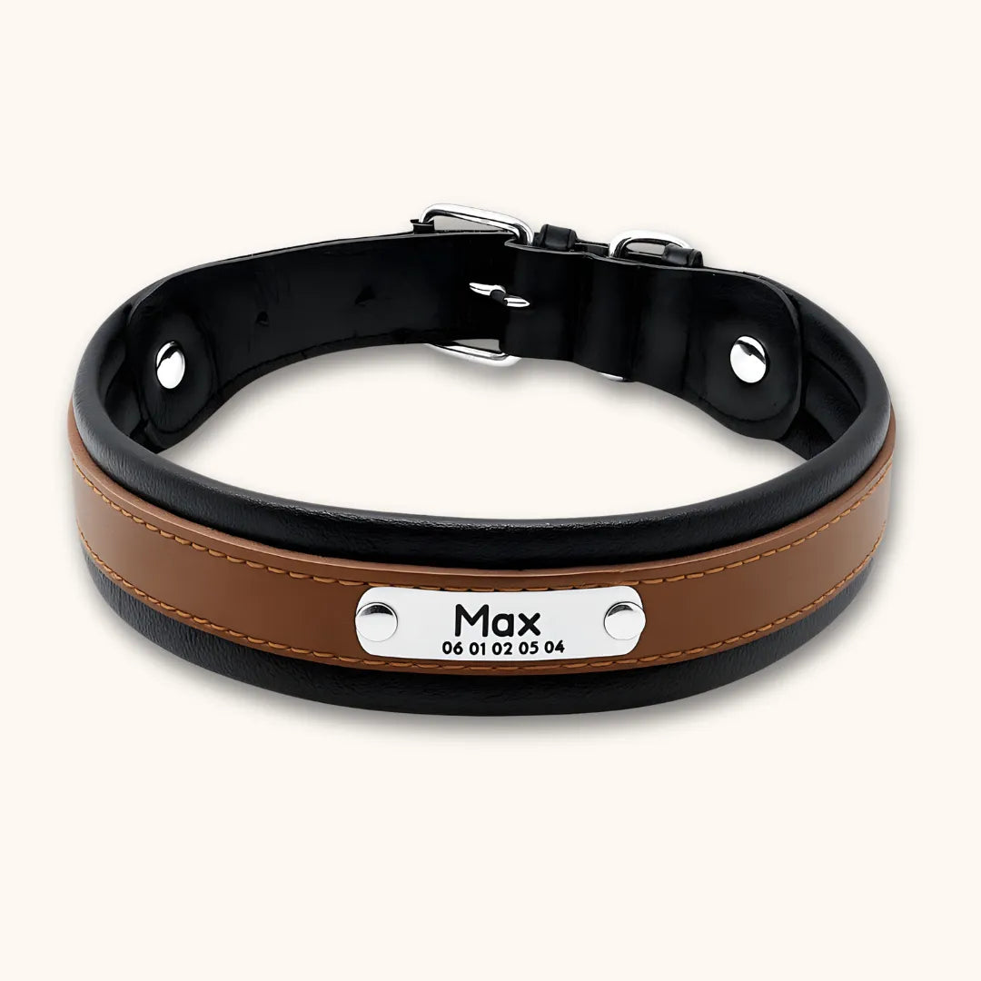 Collier cuir chien personnalisé | Guardian K9, gravure laser Marron / M