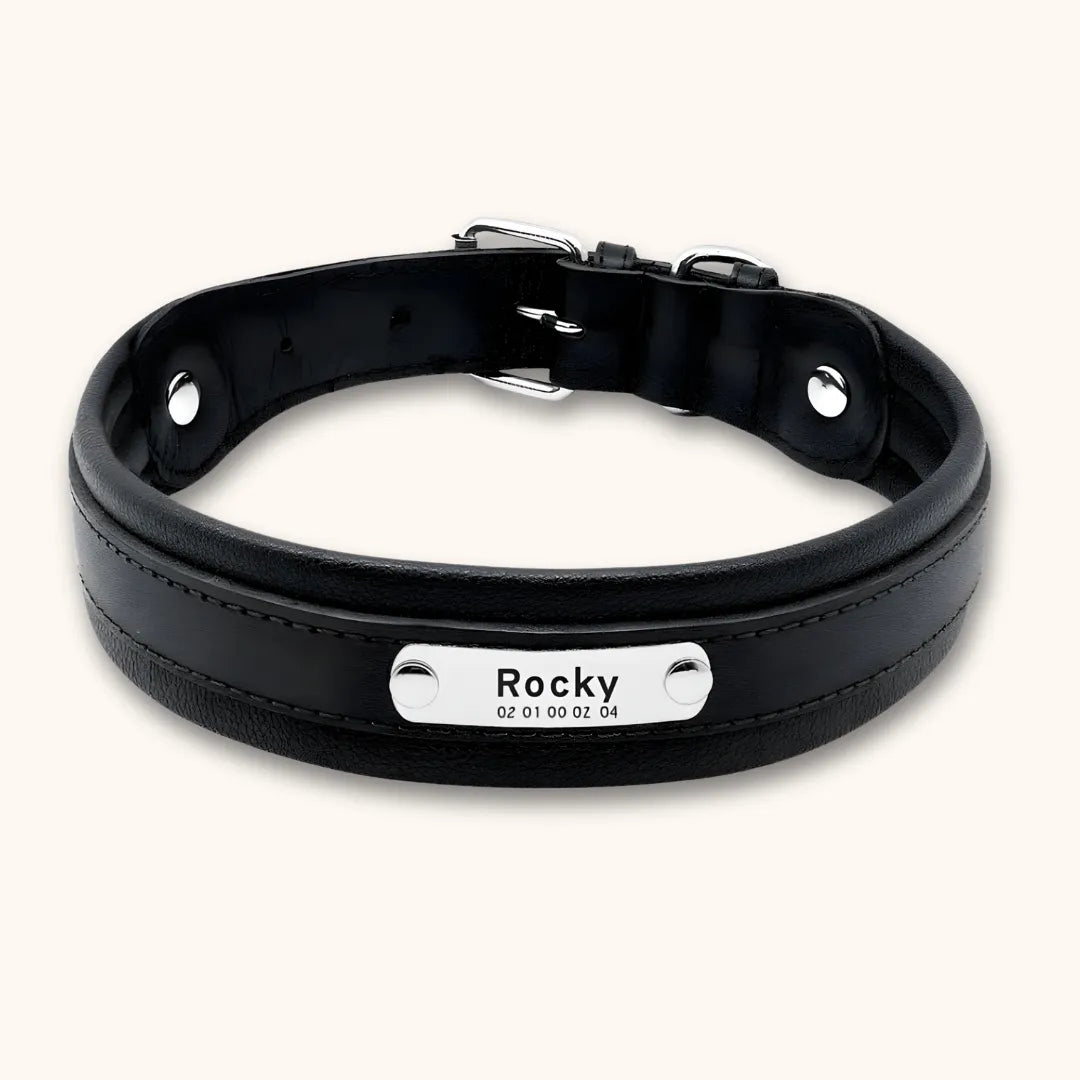 Collier cuir chien personnalisé | Guardian K9, gravure laser Noir / M