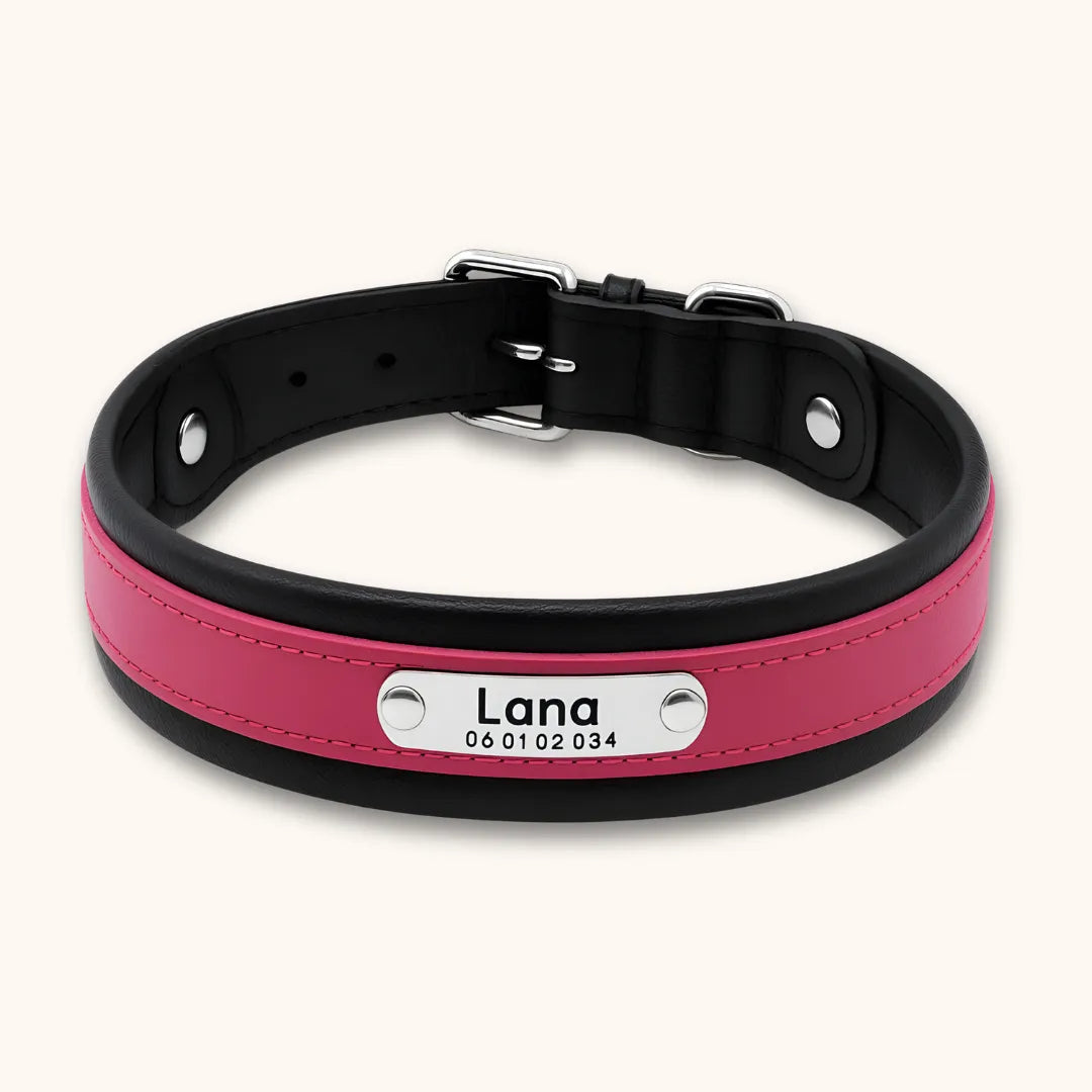 Collier cuir chien personnalisé | Guardian K9, gravure laser Rose / M