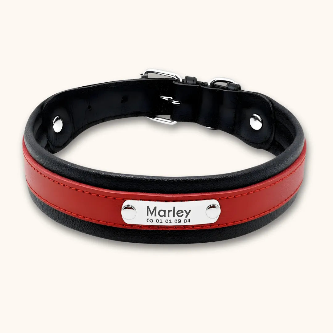 Collier cuir chien personnalisé | Guardian K9, gravure laser Rouge / M