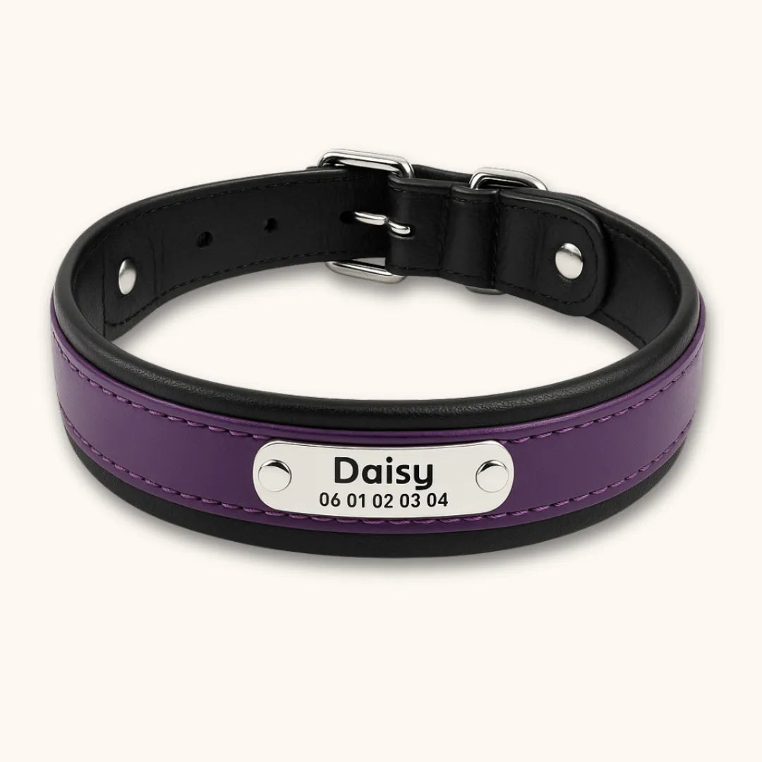 Collier cuir chien personnalisé | Guardian K9, gravure laser Violet / M