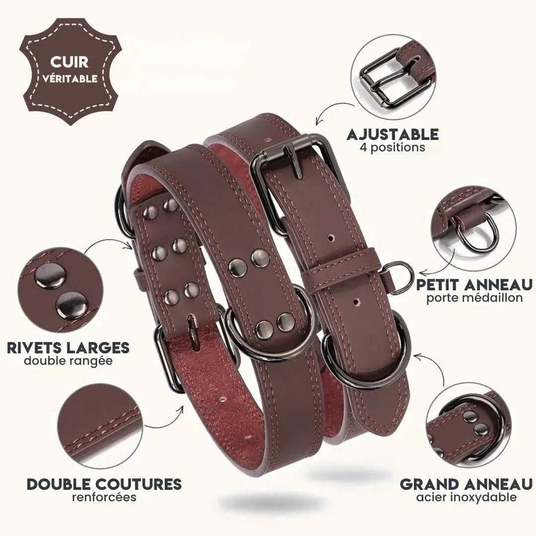 Collier Cuir Chien - PrestigeK9 : L’Élégance Durable