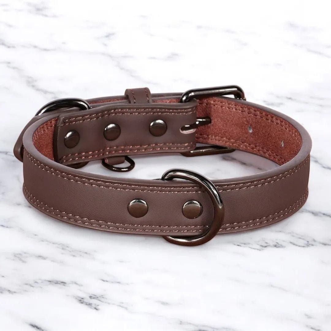 Collier Cuir Chien - PrestigeK9 : L’Élégance Durable Brun Sépia / S