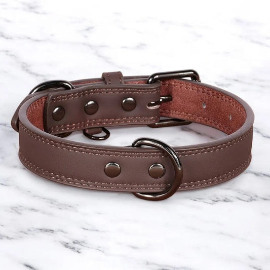 Collier Cuir Chien - PrestigeK9 : L’Élégance Durable