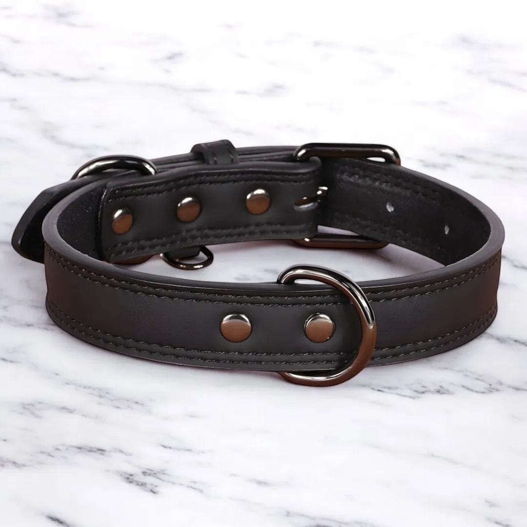 Collier Cuir Chien - PrestigeK9 : L’Élégance Durable Noir Ébène / S