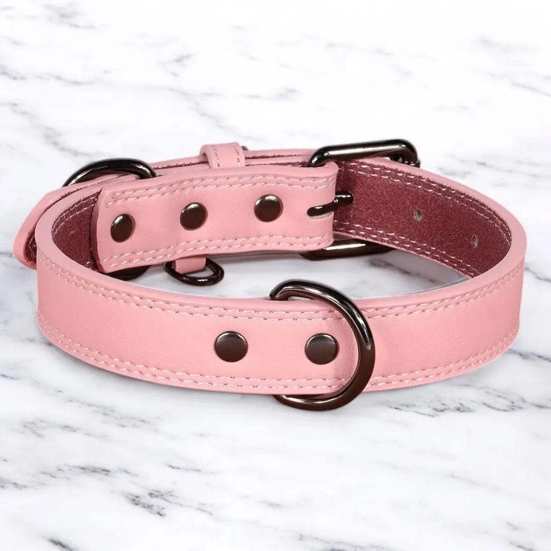 Collier Cuir Chien - PrestigeK9 : L’Élégance Durable Rose Bonbon / S