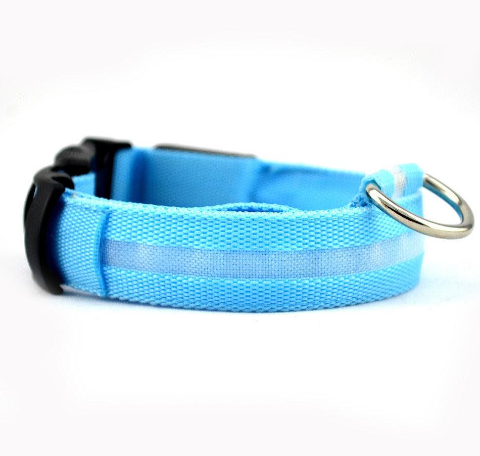 Collier Lumineux pour Chien - LumiSafe Bleu / XS