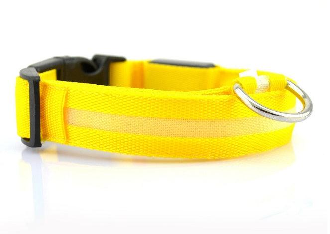 Collier Lumineux pour Chien - LumiSafe Jaune / XS