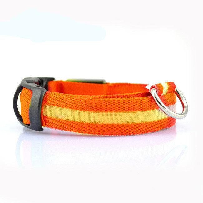 Collier Lumineux pour Chien - LumiSafe Orange / XS