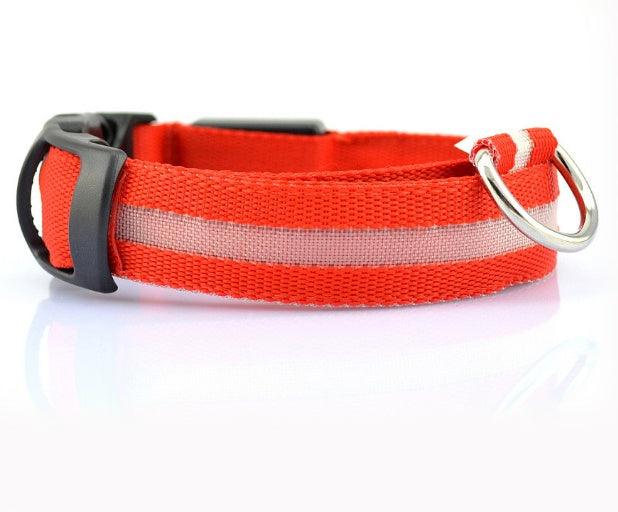 Collier Lumineux pour Chien - LumiSafe Rouge / XS