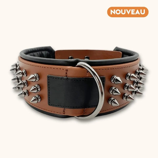 Collier pour Chien avec Rivets Anti-Morsure - DuraCuir