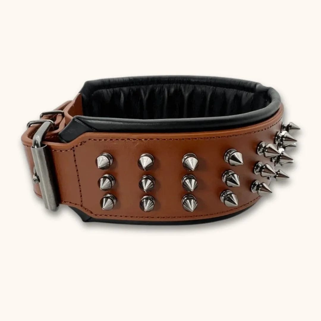 Collier pour Chien avec Rivets Anti-Morsure - DuraCuir