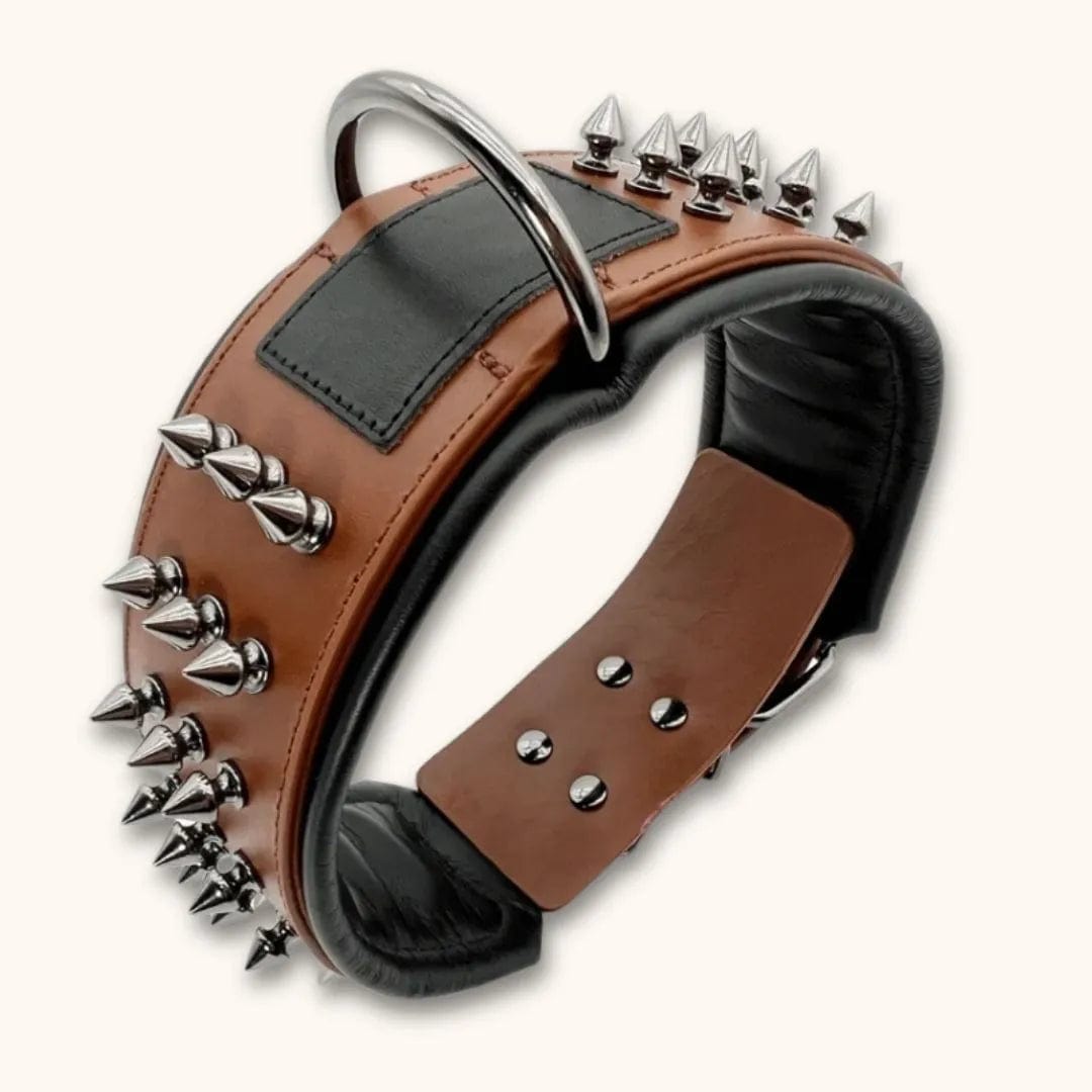 Collier pour Chien avec Rivets Anti-Morsure - DuraCuir