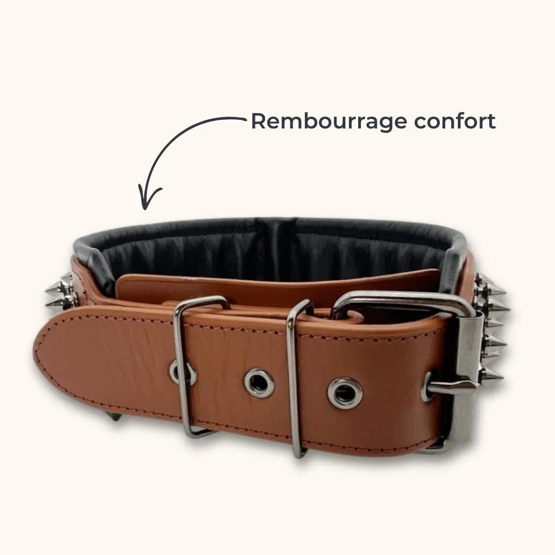 Collier pour Chien avec Rivets Anti-Morsure - DuraCuir