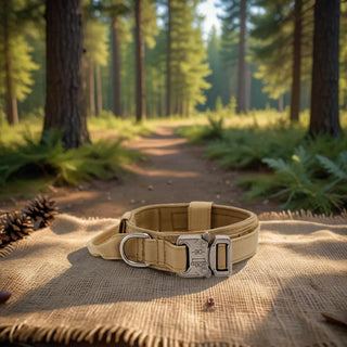 Collier tactique pour chien TactiK9 – avec poignée