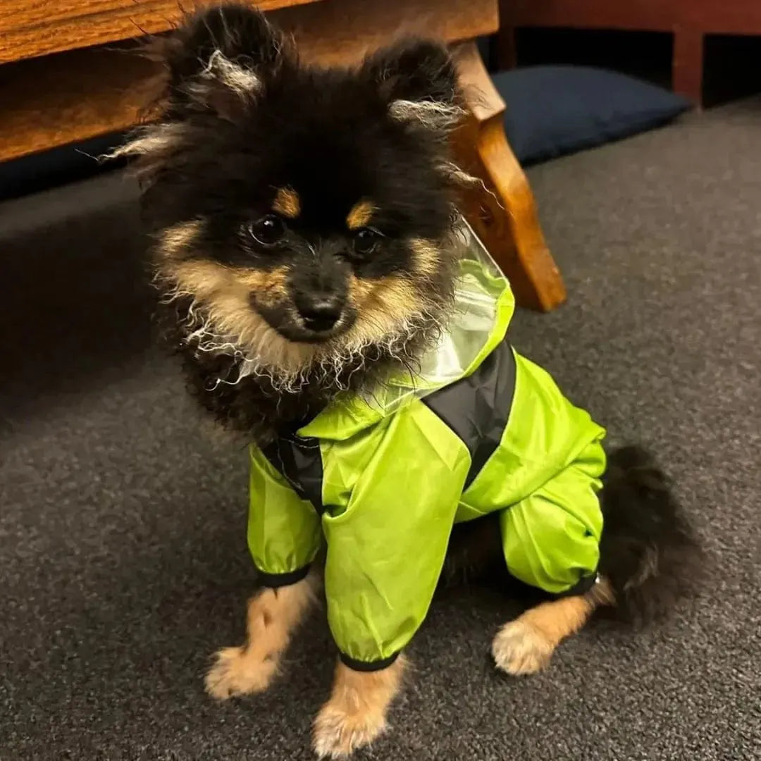 Combinaison de Pluie pour Chien avec Capuche Intégrée