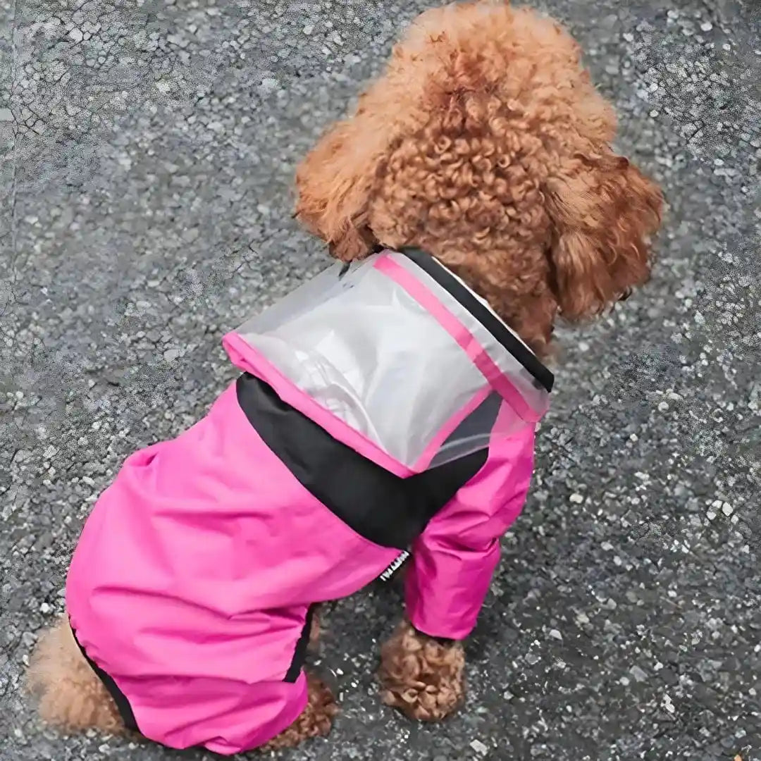 Combinaison de Pluie pour Chien avec Capuche Intégrée