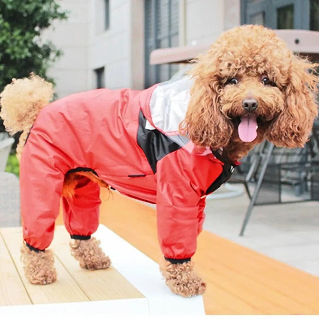 Combinaison de Pluie pour Chien avec Capuche Intégrée